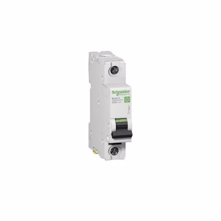 Interruttore LS Schneider Electric M9U21106