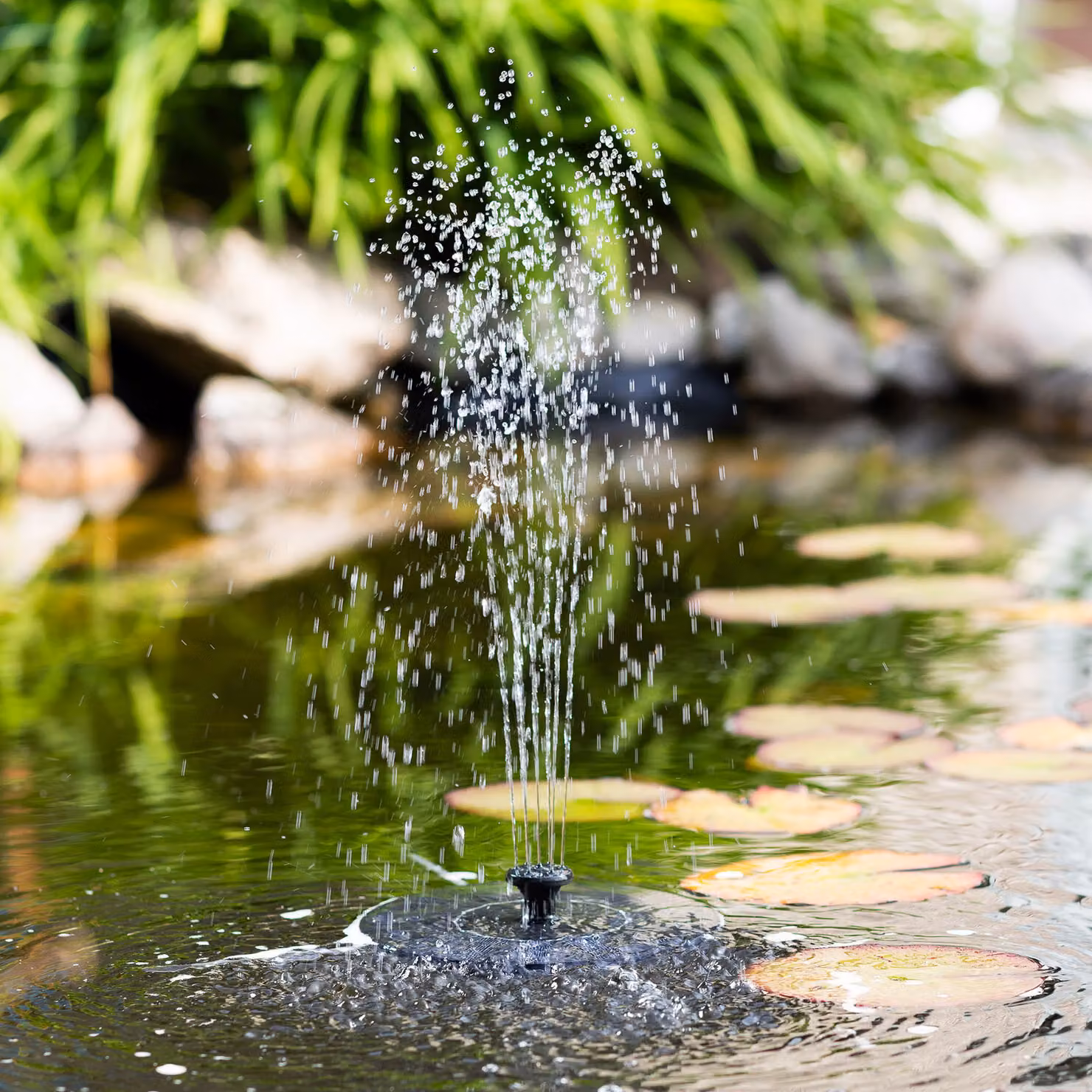 Fontana solare Ø 16 cm con 7 accessori