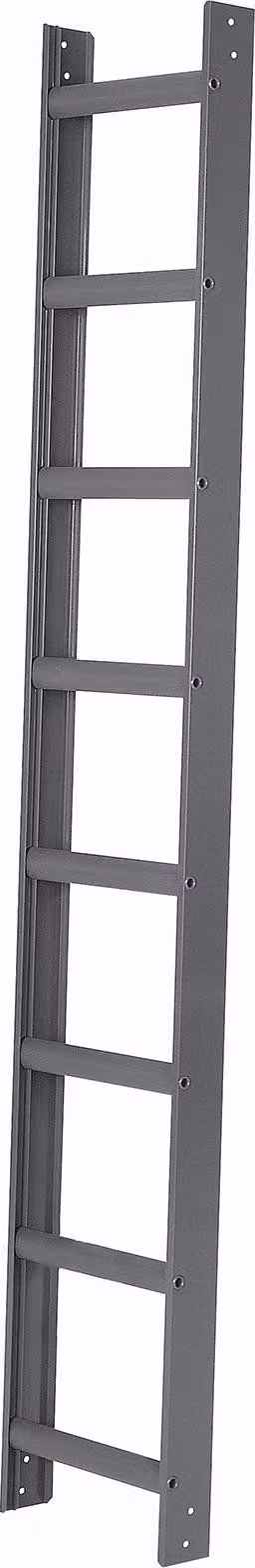 Scala da tetto Iller in alluminio con verniciatura a polvere di alta qualità 10 pioli antracite