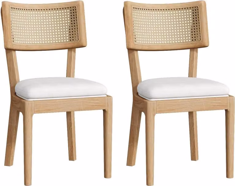 AIORBER 2 sedie da pranzo in legno massiccio con schienale in rattan, cuscini in velluto, moderne e confortevoli, colore legno