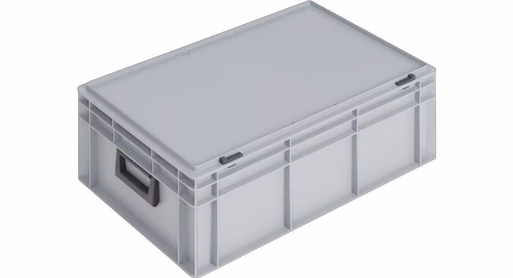 Valigia in plastica L600xL400xH233 mm PP 2 maniglie Serratura a scorrimento grigio 42 l