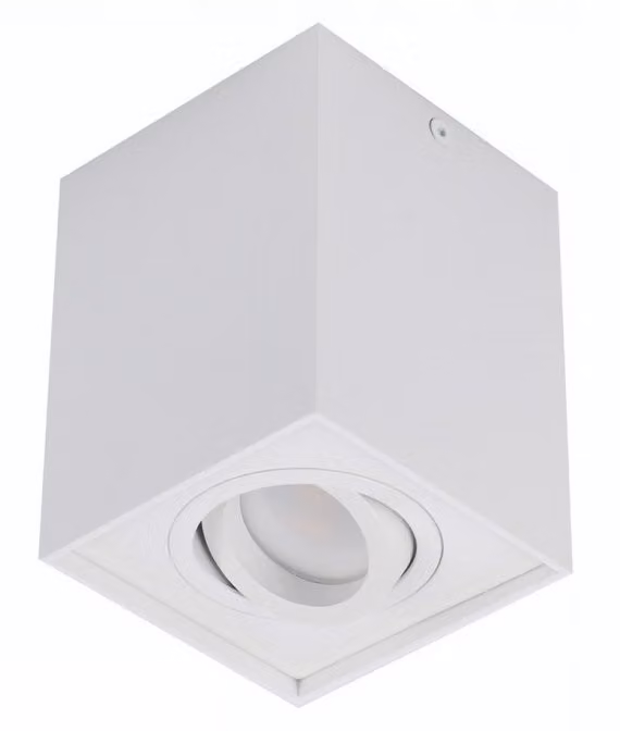 Downlight a vista ELOY bianco, attacco GU10 1 x max 50W, lampadina inclusa. 50W, lampadina inclusa