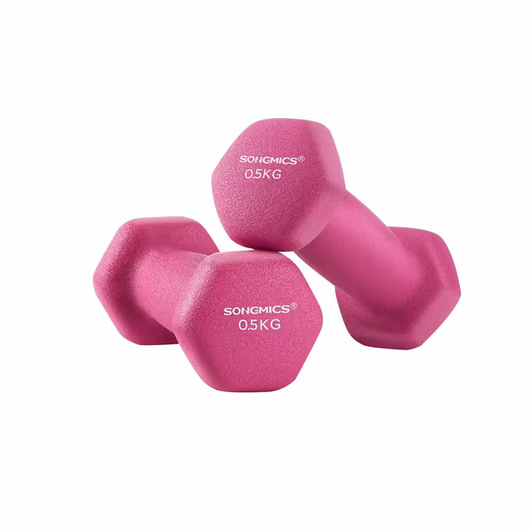Set di 2 Manubri da 0,5 kg