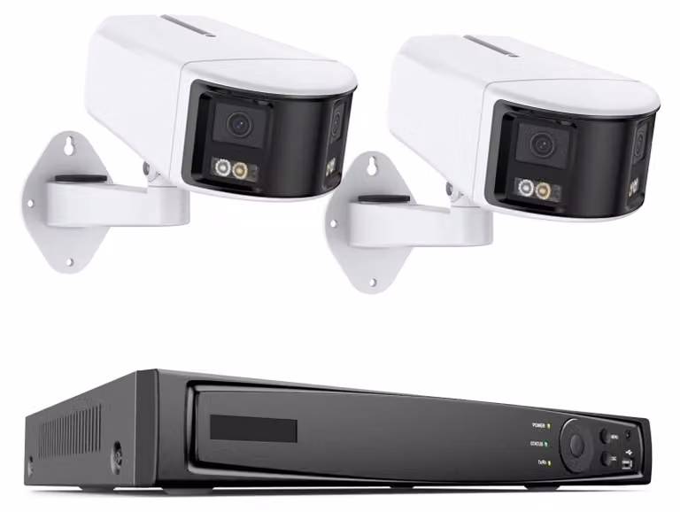 Sistema di videosorveglianza: kit NVR a 8 canali con 2 telecamere, hard disk da 1T, visione notturna e rilevamento del movimento