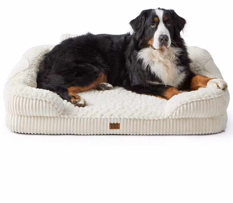 Cuccia ortopedica per cani, color beige, dimensioni 114x89x20 cm, con supporto per il collo e rivestimento impermeabile
