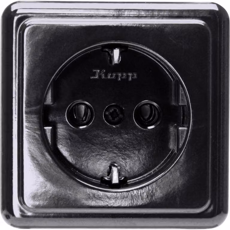 AP Socket 1f.sw