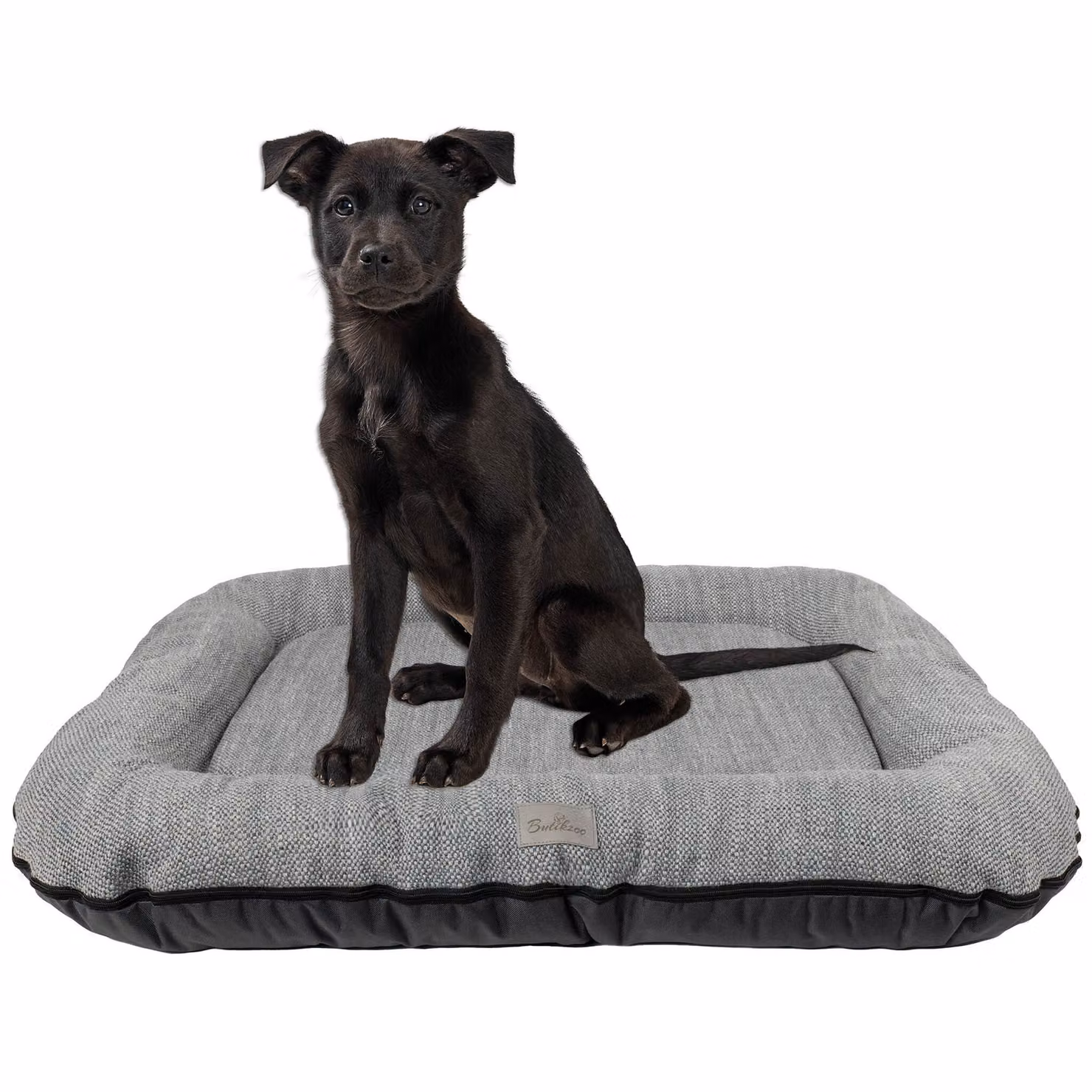 Cuccia per cani - Tappetino per cani impermeabile e lavabile in Codura | In & Outdoor per cani di taglia grande e gigante | Colore: grigio, taglia XXL: 120 x 90 cm