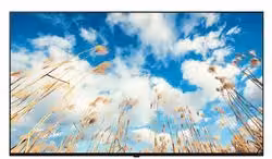 LG Smart TV Hospitality Serie UM767H da 65 pollici colore Ashed Blue 65UM767H