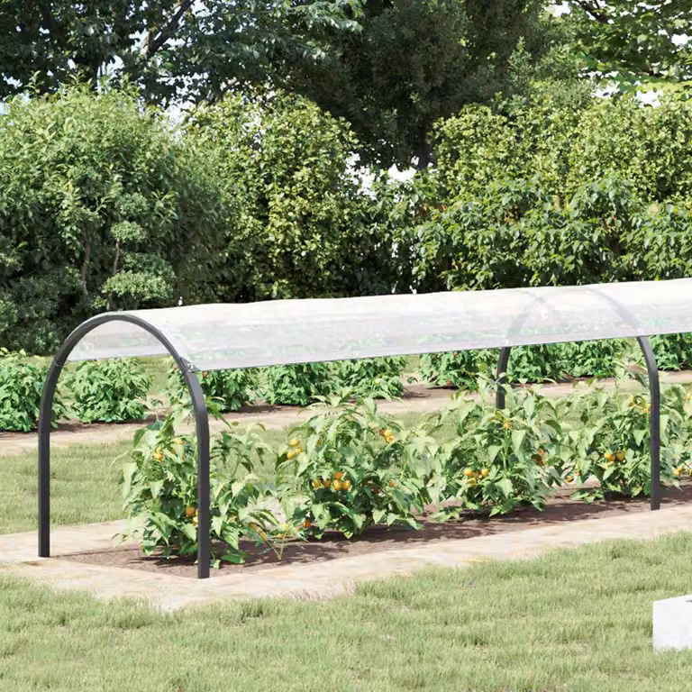 Copertura per piante vidaXL in PE trasparente per protezione invernale e aiuto alla crescita, 150 x 600 cm