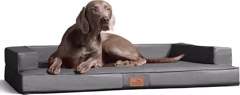 tierlando® Divano ortopedico per cani GIBSON VISCO in Pelle finta forma cubica - dimensioni: 80x60cm | colore: 06 grigio