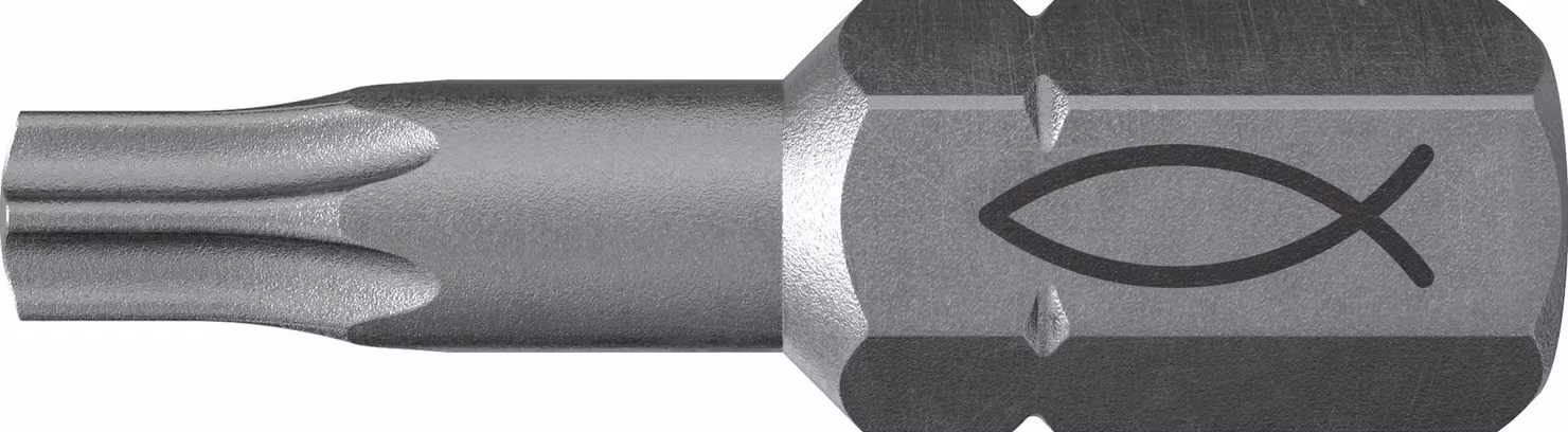 Fischer 10x ProfiBit FPB T 30 - 557849