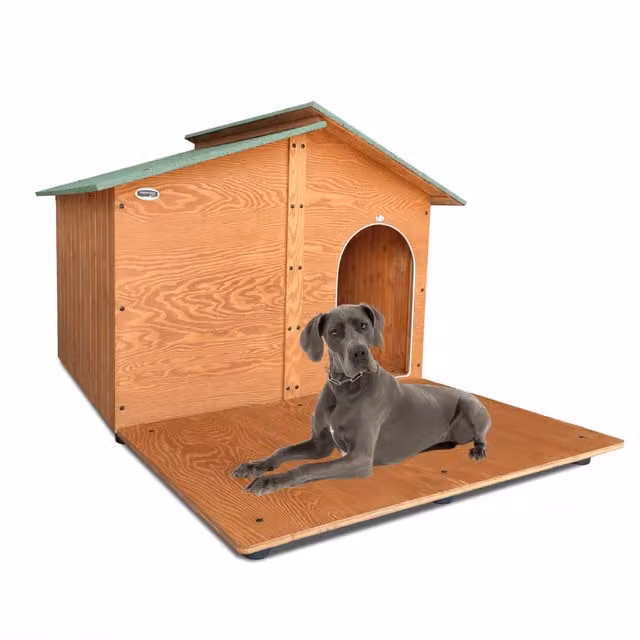 Cuccia da esterno per cani Original Legno Italia modello 4XL gigante in legno di pino, impermeabile e isolata, L: 150 cm, P: 190 cm, H: 115 cm