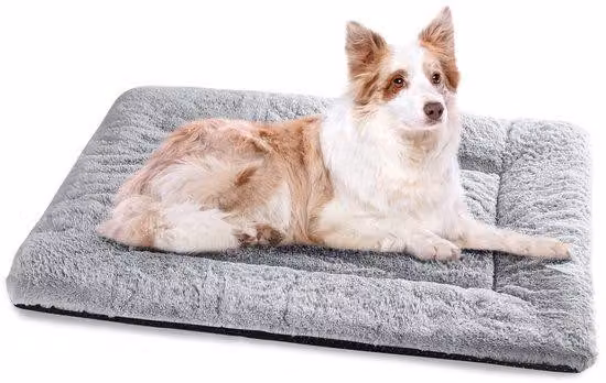 Cuccia XL per cani di grossa taglia, lavabile, 106 x 71 cm, morbido cuscino per cani con fondo antiscivolo, cuccia grande per cani di grossa taglia, grigio