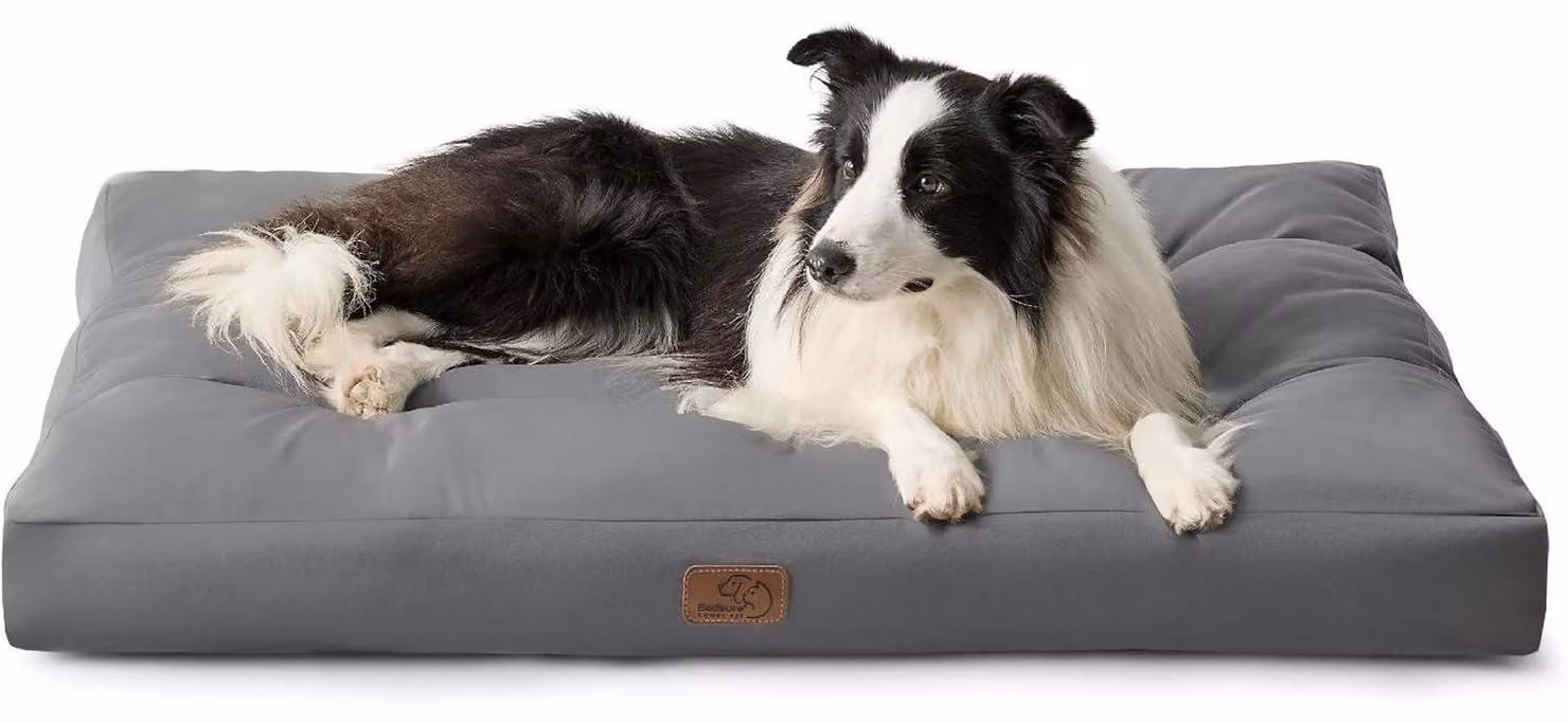 Cuccia per cani, colore grigio scuro, dimensioni 91x68x10 cm, imbottita, con tappetino refrigerante, adatta per uso esterno