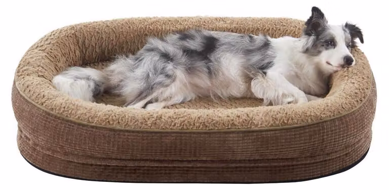 Cuccia ortopedica per cani, in memory foam, colore marrone, dimensioni L: 89 x 63 x 18 cm