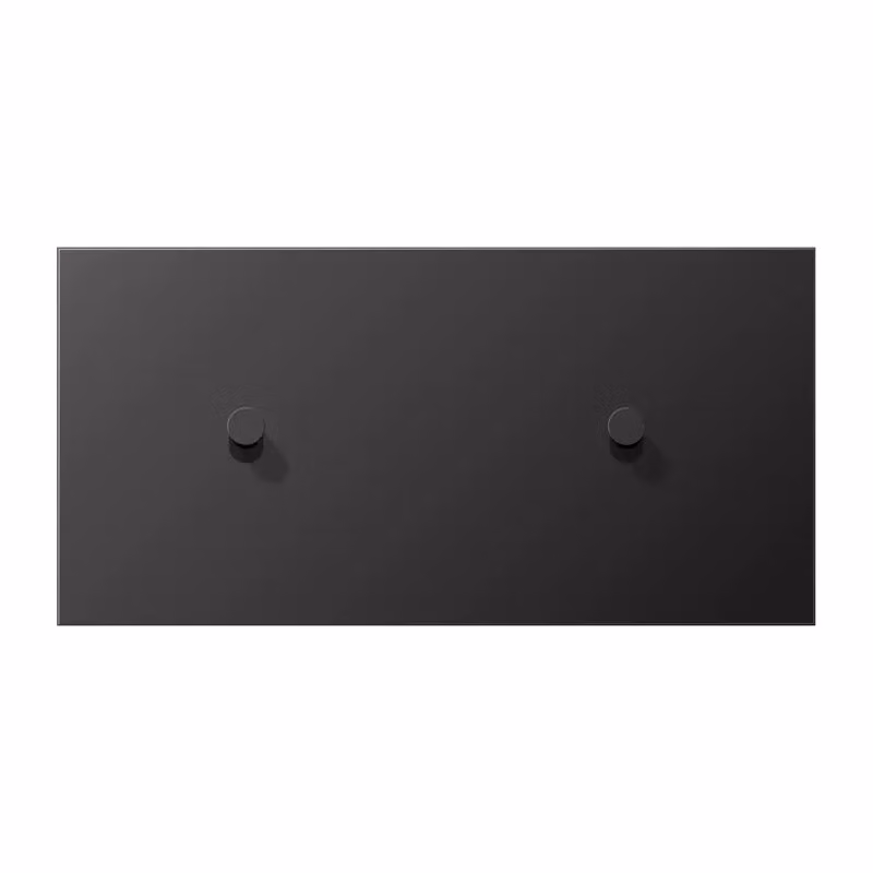 Jung AL12-200DK01 Copertura doppia orizzontale con 1+1 leve a bilanciere