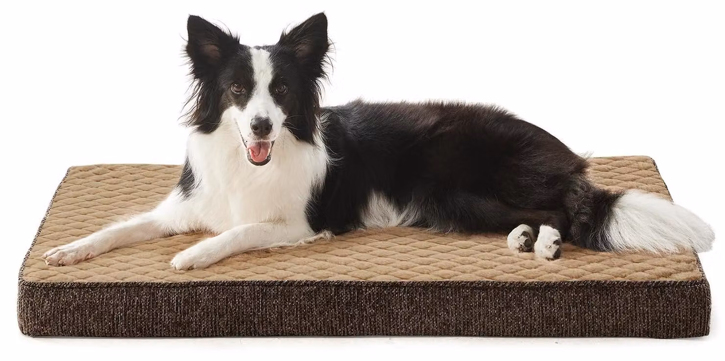 Cuccia ortopedica per cani - Lavabile - Marrone - 89 x 56 x 9 cm