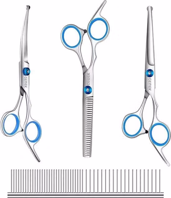 Set di forbici da ufficio in acciaio inossidabile blu 5 in 1