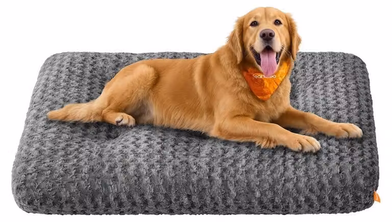 Cuccia per cani XXL con imbottitura morbida | Grigio ardesia | 122x74x10 cm