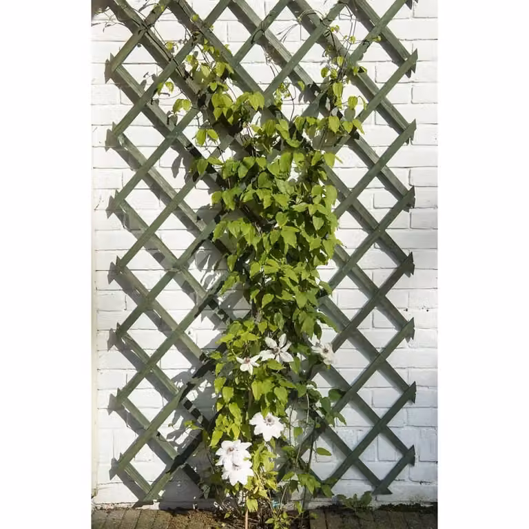 Traliccio da giardino naturale 50x150 cm in legno verde