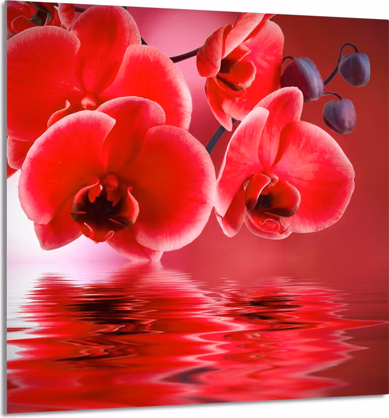 PIATTO IN VETRO PER CUCINA 60x65 Orchidea