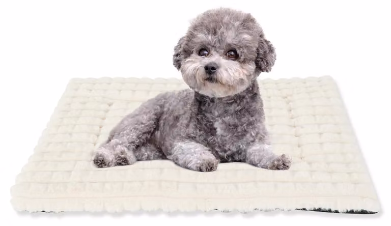 Cuccia per cani, colore bianco, dimensioni 100x70 cm - Cuscino morbido e antiscivolo per animali domestici