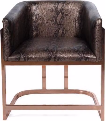 Design Esszimmer Stühle Lehn Sitz Polster Klassisch Möbel Esszimmerstuhl