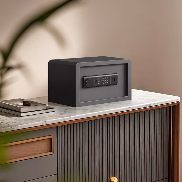 Mini cassaforte biometrica - Capacità: 8,5 litri - Acciaio legato - Cassaforte di sicurezza per la casa - Cassaforte elettronica