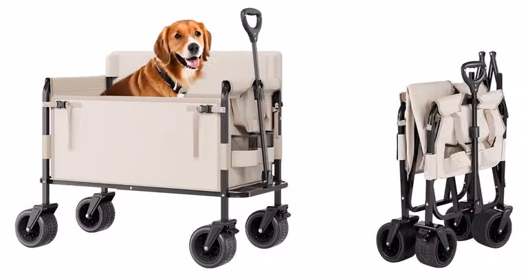 Carrello portante, con una capacità di carico di 250 kg, trasformabile in una panca, con una capacità di carico di 250 kg
