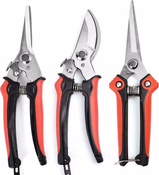 Set professionali di forbici da giardino - Utensili da taglio in acciaio inossidabile - Forbici curve per rose - Impugnatura antiscivolo - Confezione da 3 pezzi