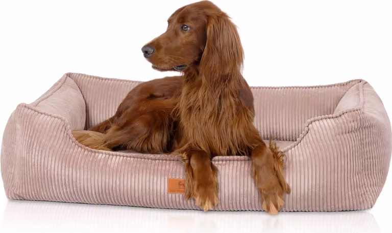 Cuccia ortopedica per cani Knuffelwuff in velluto a coste con carattere Nunavut intrecciato a mano XXL 120 x 85 cm Rosa