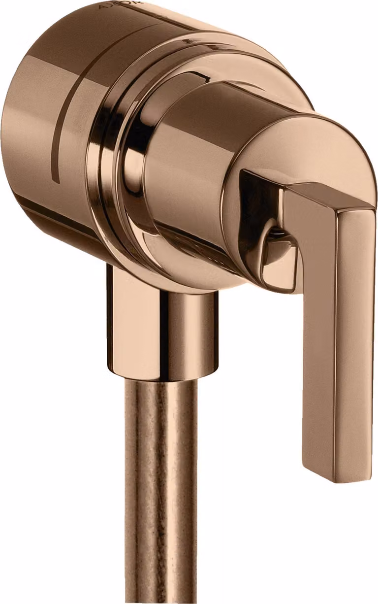 hansgrohe AXOR Citterio hansgrohe Fixfit Robinet d'arrêt avec béqu'illes, 39882300, 39882300