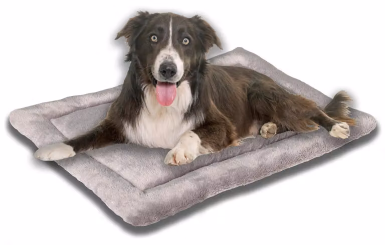 Cuccia per cani, 80x60 cm - Ipoallergenica e lavabile