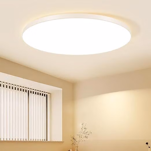 ZMH LED plafoniera bianco caldo 12W IP44 21cm rotonda moderna lampada da cucina piatta per cucina soggiorno
