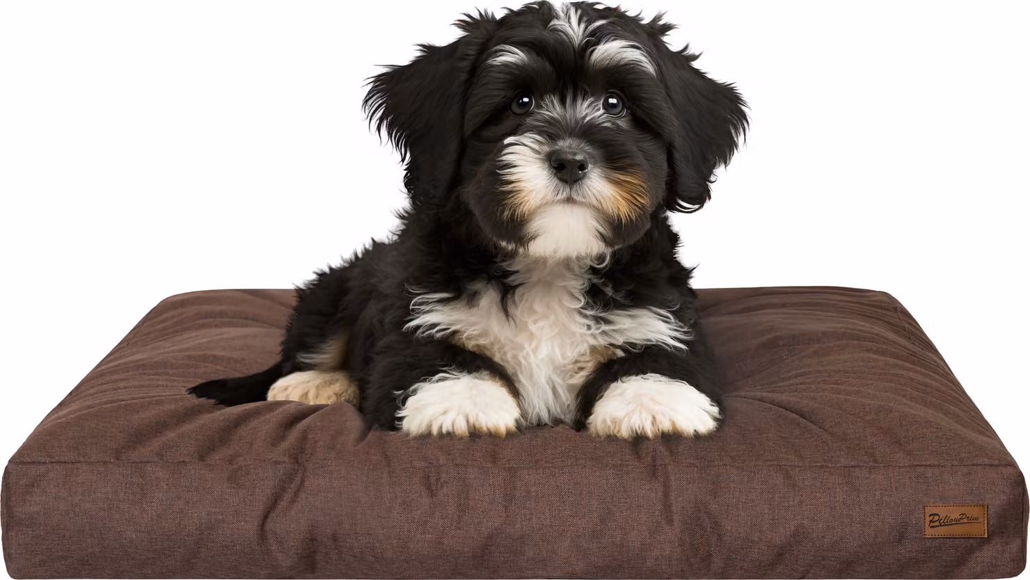Materasso per cani "Grand Light" - 75x50cm - Cuccia idrorepellente - Rettangolare - Outdoor & Indoor | PillowPrim