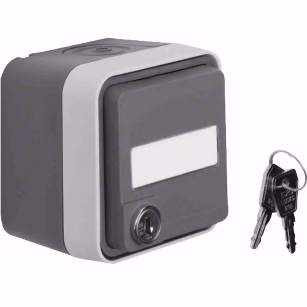 Presa di corrente Berker SCHUKO grigio chiaro 47393505