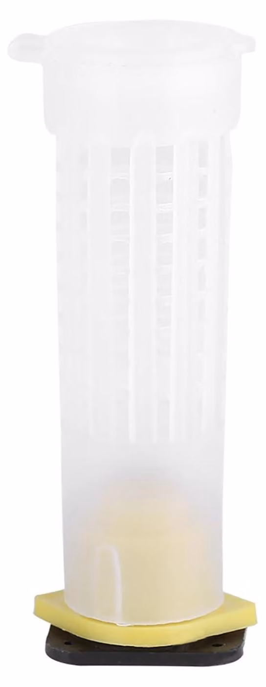 Strumenti professionali per la cura delle api - Attrezzi per il fissaggio delle arnie - Kit per l'allevamento delle api regine - Materiale plastico di alta qualità - Resistente - Lunga durata - Attrezzature per l'apicoltura