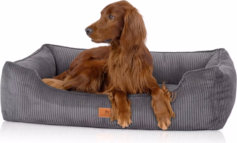 Cuccia ortopedica per cani Knuffelwuff in velluto a coste con carattere Nunavut intrecciato a mano XXL 120 x 85 cm Grigio