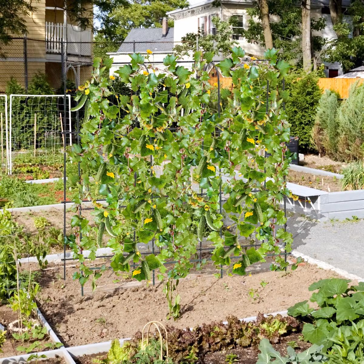 Supporto per piante rampicanti Costway a forma di U, Trellis in metallo nero per orto e letti rialzati, H: 180 cm x L: 179 cm
