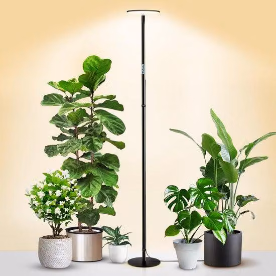 Lampada da terra Ibenzoa® con luce a spettro completo per piante d'appartamento – 175 cm, 40 W, 4000 K, lampada per piante e lampada da lettura dal design moderno