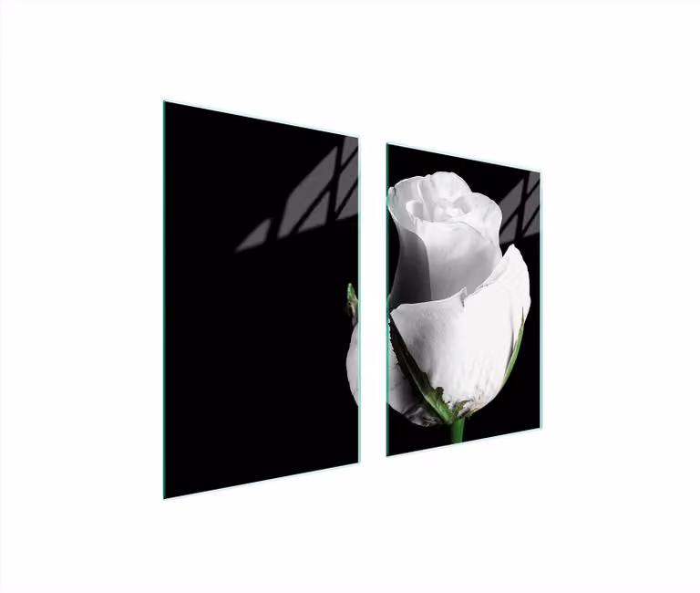 Piatto Di Protezione In Vetro Per La Cucina 65X52 Rose