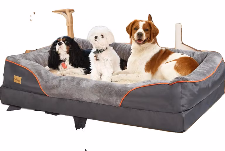 Cuccia per cani, realizzata con schiuma ortopedica, design impermeabile, colore grigio scuro, taglia XXXL