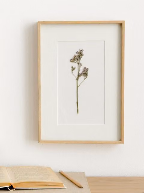 Quadro botanico Limonium Kenay Home, illustrazione floreale bianca e beige in legno, rettangolare
