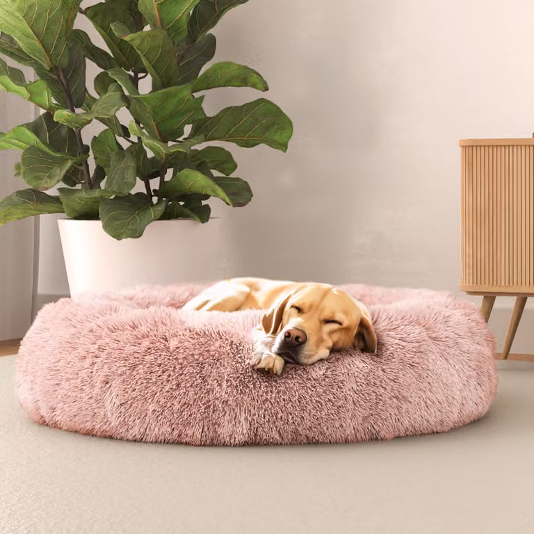 Lenzuolo per letto italiano, cuccia per cani "Dreams", sogni e capricci, animali domestici, rosa, 70x70 cm