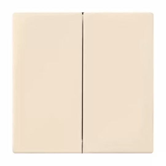 Busch-Jaeger 6736 FoH-82 | Interruttore a bilanciere