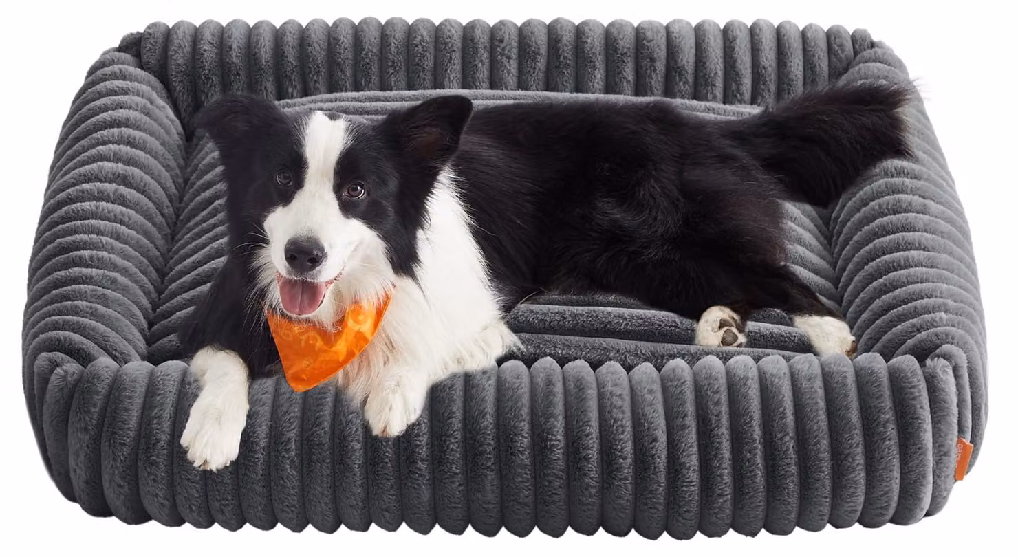 Cuccia ortopedica per cani - Morbida e confortevole - 106 x 75 x 20 cm