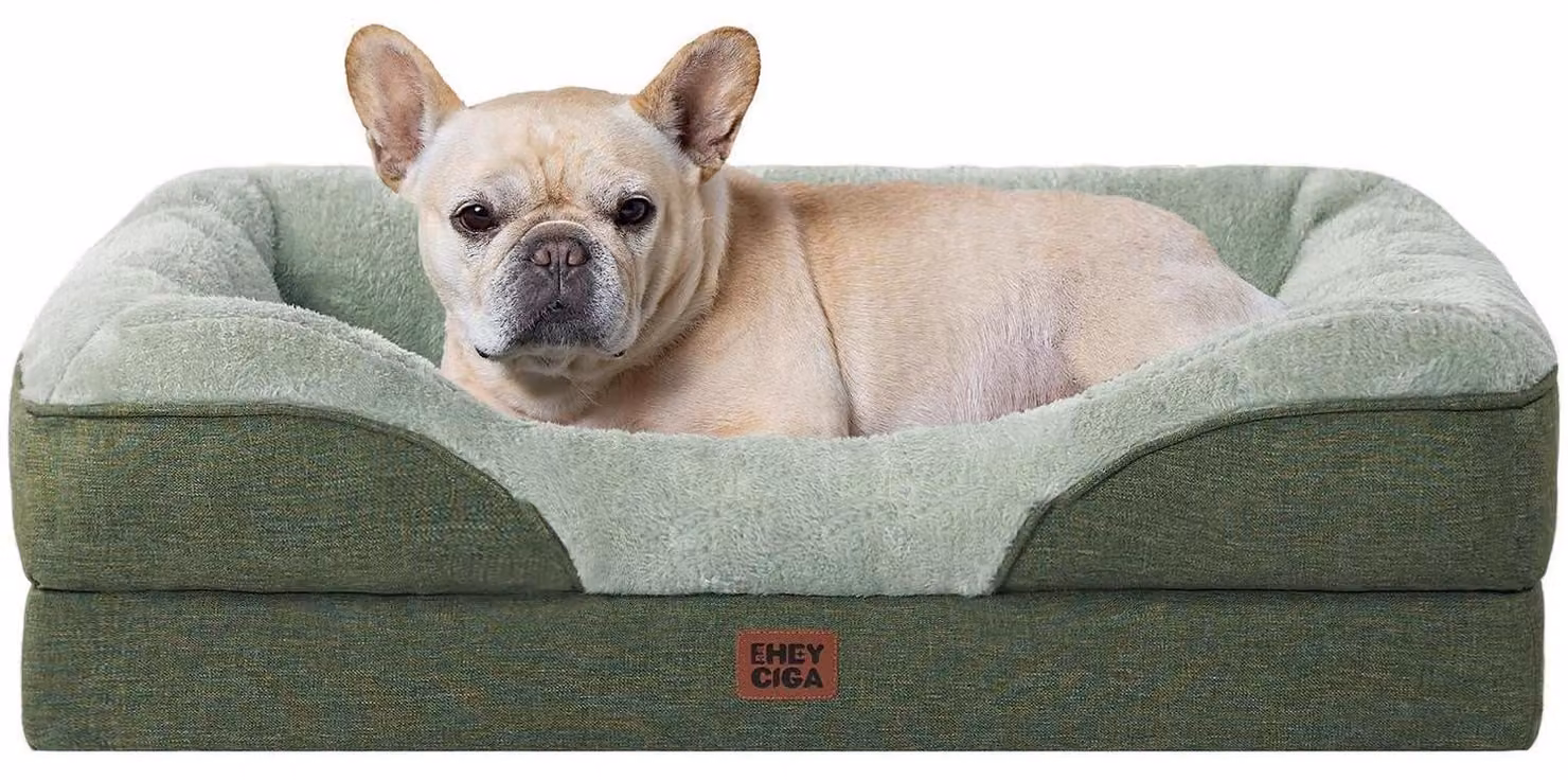 Cuccia ortopedica per cani con 4 bordi, dimensioni 76x51 cm, colore verde