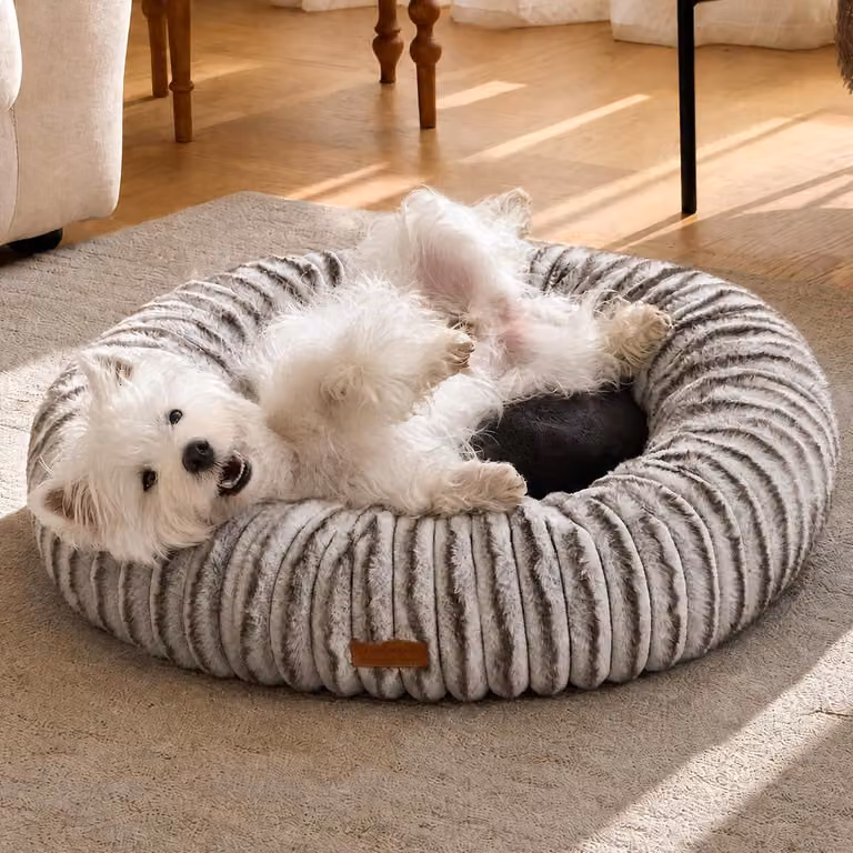 Cuccia per cani, cuccia per gatti, ortopedica, lavabile, 76 x 76 x 18 cm, colore marrone