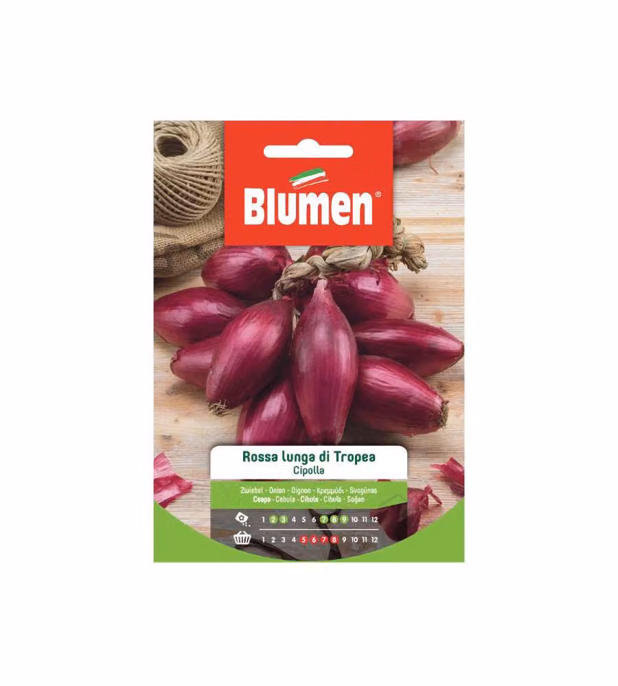 Blumen Semi di Cipolla Rossa Lunga di Tropea 20 g - Gusto Dolce - Precoce
