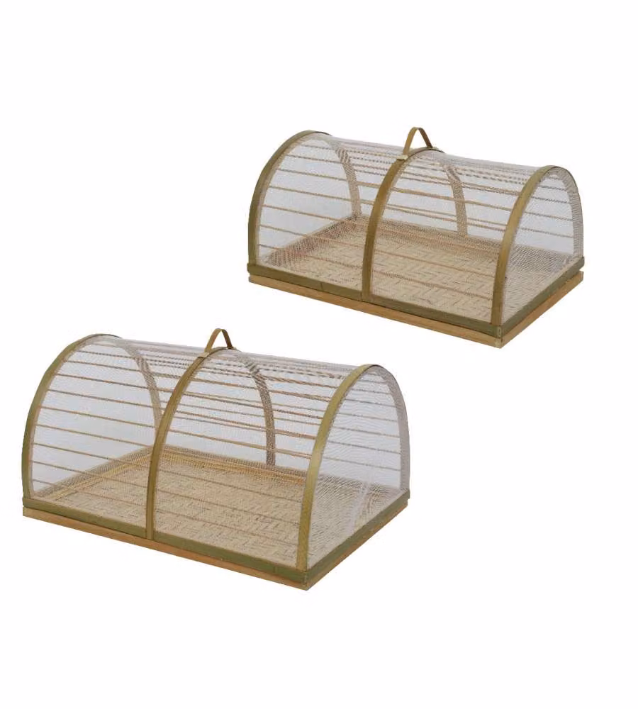 Coprivivande in bamboo piccolo